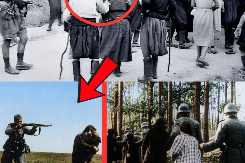 Pourquoi les SS ont-ils tiré sur des ennemies féminines ?