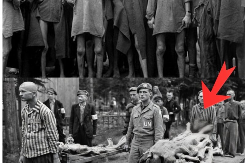 53 nazis brûlés vifs par des prisonniers à Ebensee : la plus brutale représailles de la Libération – Le massacre d’Ebensee