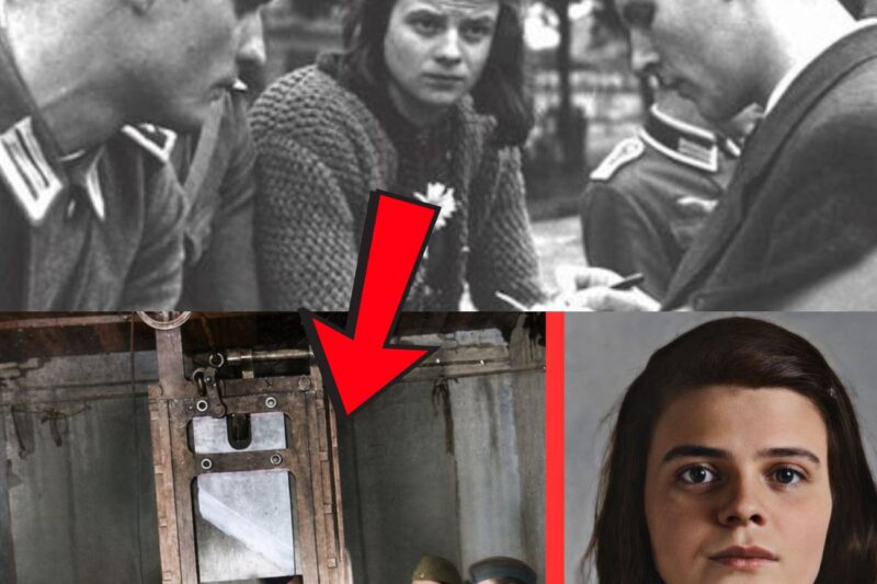 Comment s’est déroulée l’exécution de Sophie Scholl par la guillotine