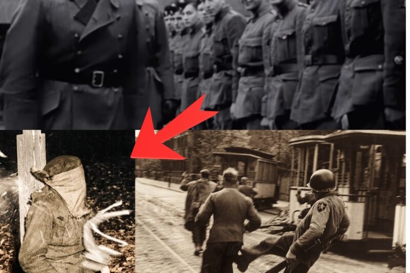 Les horreurs qui se sont réellement produites lors de la capture des soldats de la Waffen-SS – Difficile à regarder