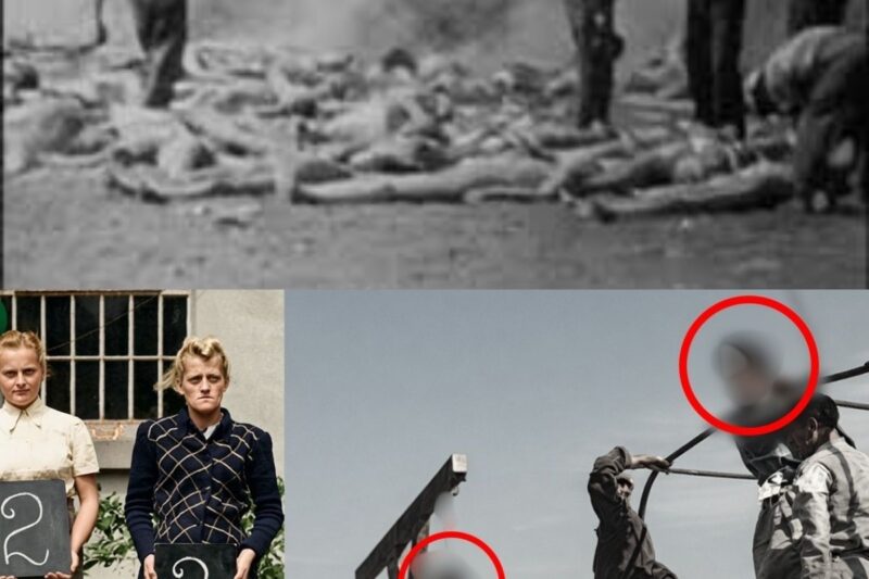 L’exécution publique infâme de gardiennes nazies à Auschwitz après la Seconde Guerre mondiale