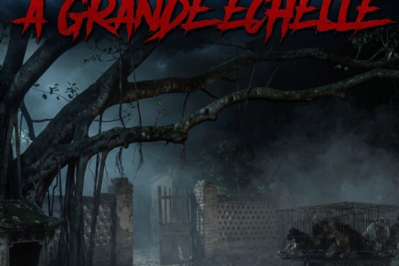 VOL DE CHIENS À GRANDE ÉCHELLE – UN KARMA HORRIBLE QUI PARALYE LE VILLAGE ENTIER