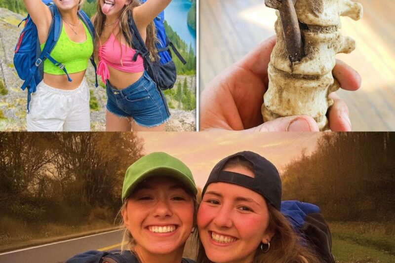 Des adolescents disparaissent lors d’une randonnée dans le Colorado ; cinq ans plus tard, on retrouve ceci enfoui dans la terre…
