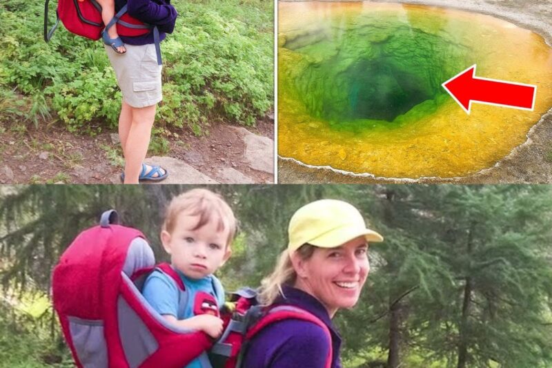 Une mère et son enfant en bas âge ont disparu dans les Rocheuses ; six ans plus tard, ce qui a été retrouvé hante encore les habitants…