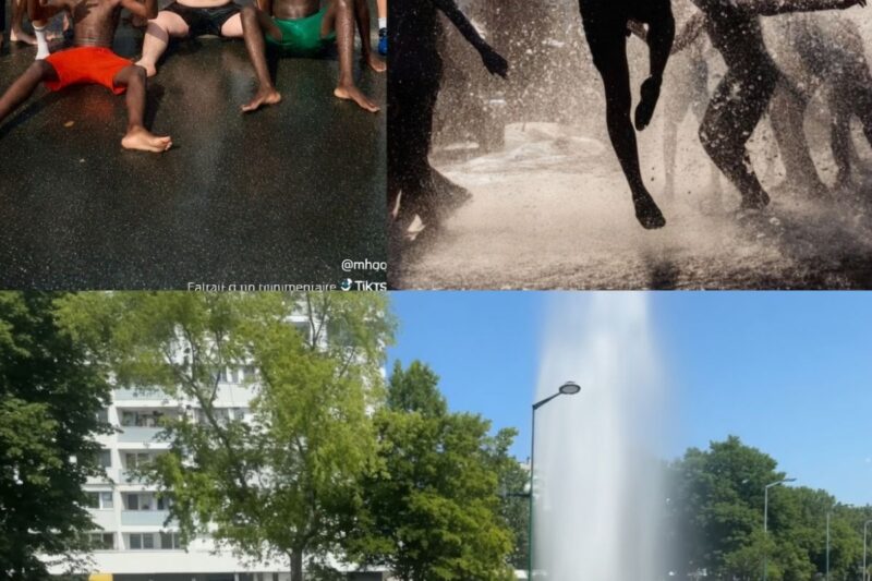 Canicule: La racaille islamiste se rue sur les bornes d’incendie pour faire chier le monde !