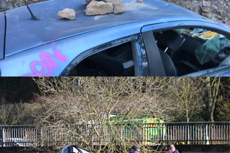 Le drame absolu à Angers : Un bébé de quatre jours retrouvé mort noyé dans la Maine après la tentative de suicide de sa mère