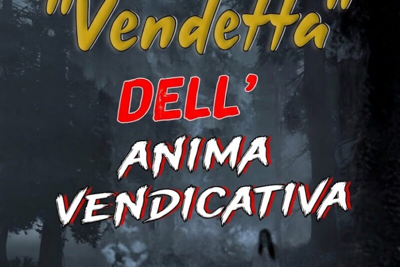 LA VENDETTA DEL FANTASMA VENDICANTE