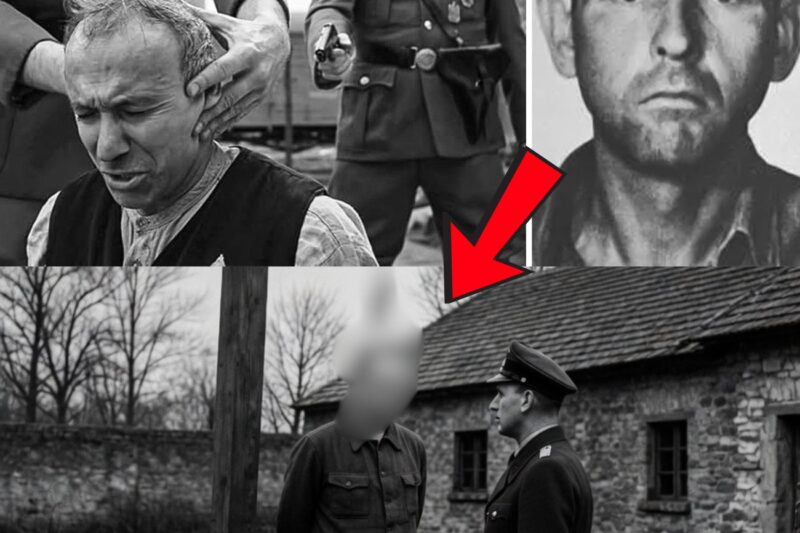 La Brutale Exécution du « Boucher Nazi de Płaszów »