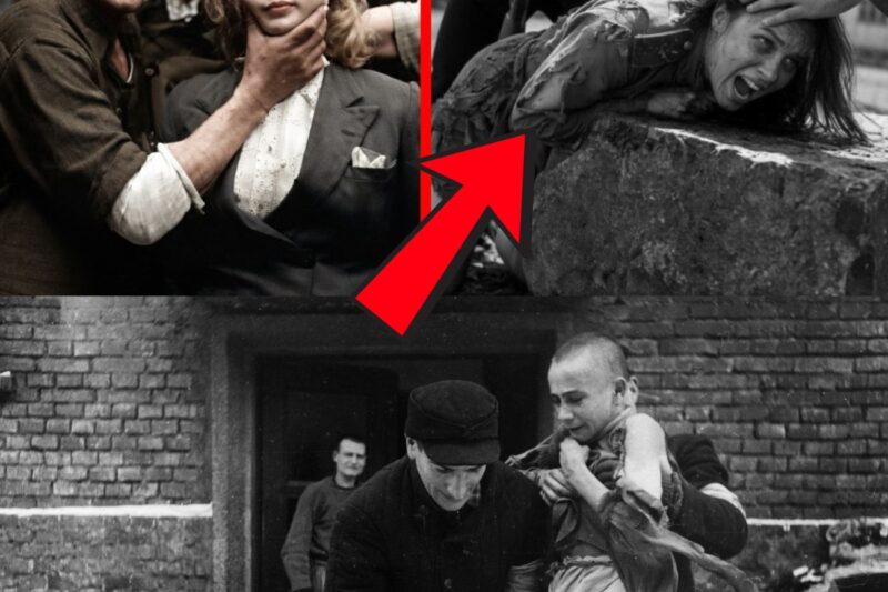 L’enfer d’Auschwitz