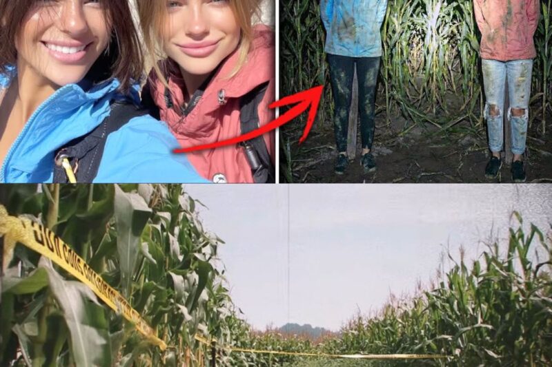 Due ragazze scomparse in Kansas, ritrovate VIVE, LEGATE come spaventapasseri in un campo di mais…