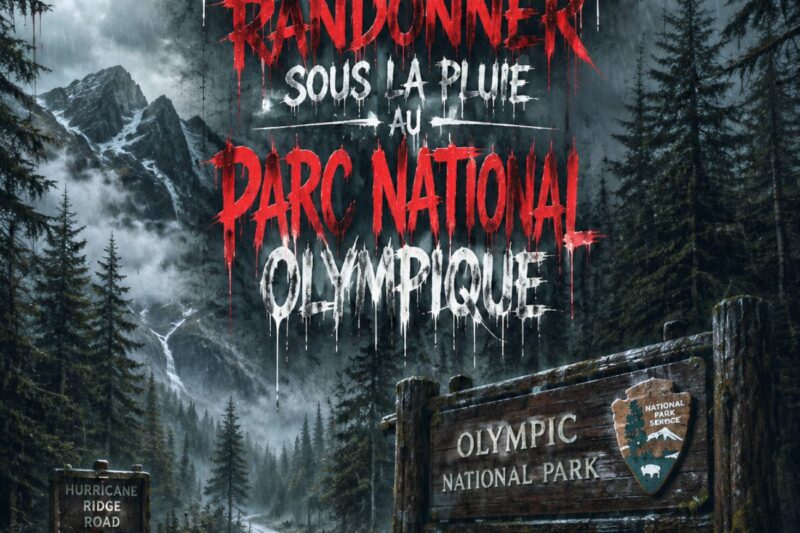 Ne jamais randonner sous la pluie au parc national olympique