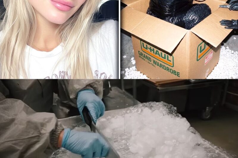 Modella scomparsa a Los Angeles: QUESTO è stato ritrovato all’interno di un container U-Haul in un deposito, avvolto nel pluriball.