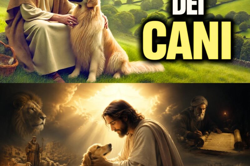 Il cane è una creatura spirituale? La verità nascosta sul cane nella Bibbia