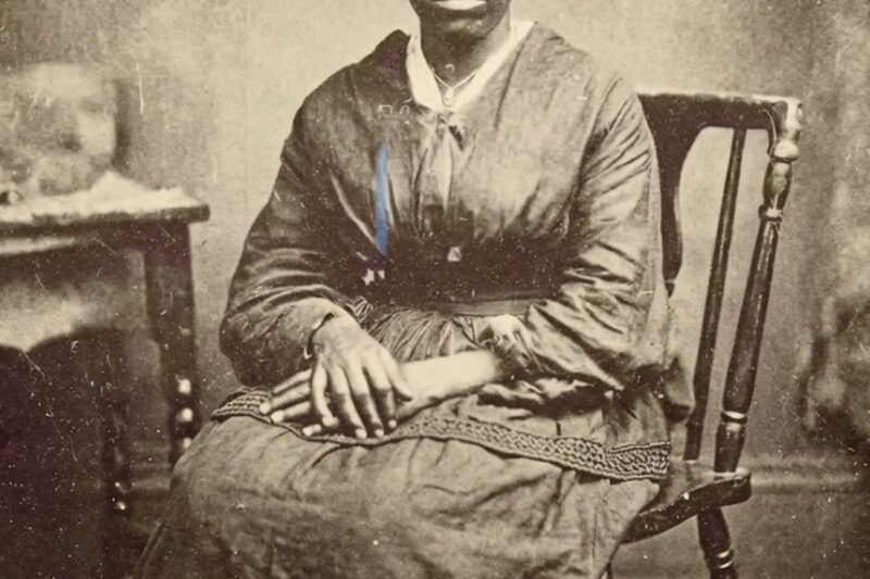 La schiava che diede in pasto ai maiali i figli del suo padrone (Georgia, 1853)
