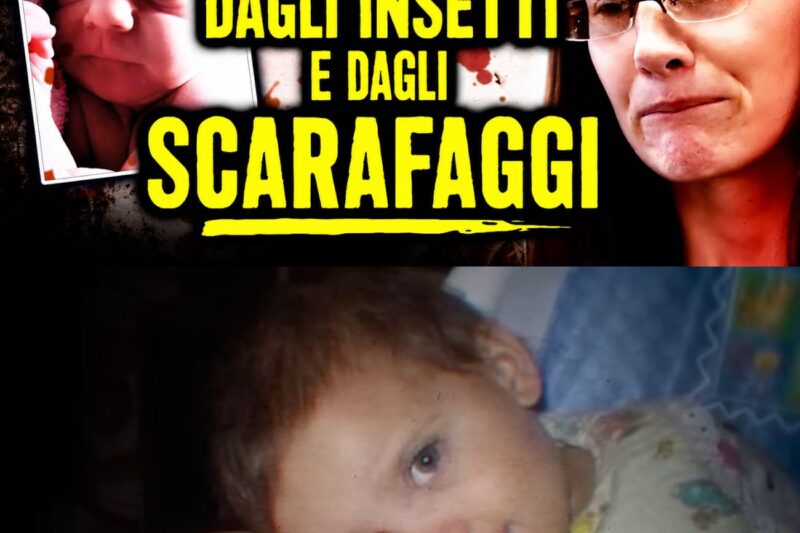 Neonato trovato freddo, divorato dagli scarafaggi