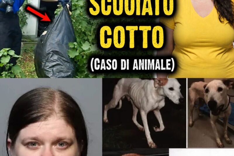 19 corpi ritrovati in sacchi della spazzatura, cotti in un capannone adibito a forno.