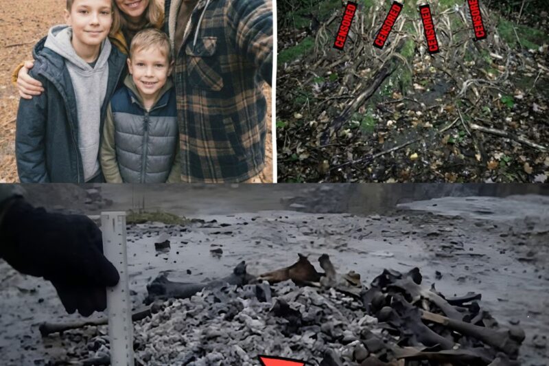 Una famiglia è scomparsa nei Monti Smoky 7 anni fa; i loro resti sono stati ritrovati legati a un albero.