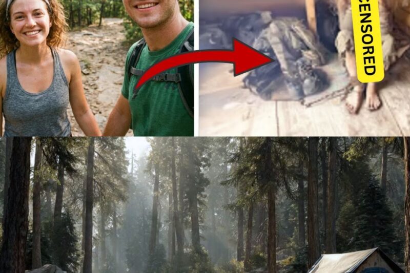 Una coppia di studenti universitari scomparsa nello Yosemite 2 anni dopo, uno dei due è tornato, rifiutandosi di parlare