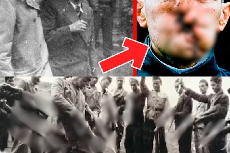 « Pire qu’Auschwitz » : L’enfer oublié de Jasenovac que l’Histoire a tenté d’effacer