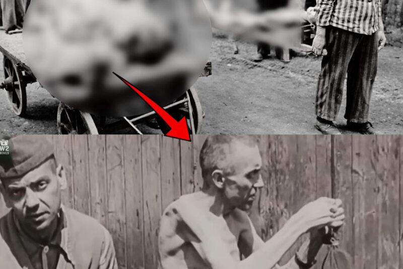 53 nazis brûlés vifs par les prisonniers d’Ebensee : Les représailles les plus brutales de la Libération