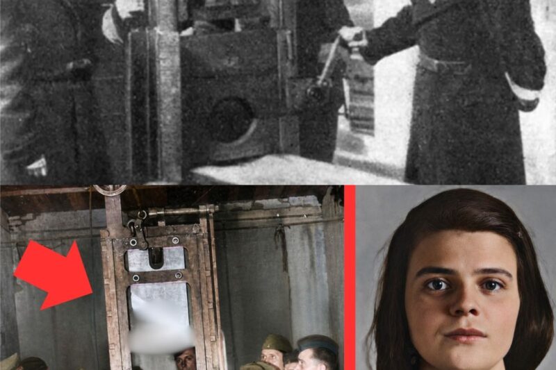 Dans les couloirs de la mort : Comment s’est vraiment passée la fin de Sophie Scholl ?