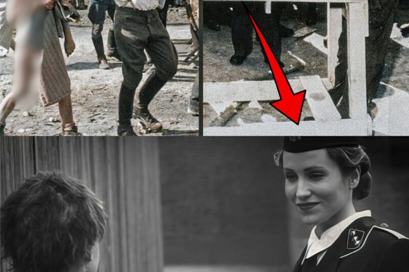 Auschwitz : Révéler les HORREURS les plus sombres de l’histoire de l’humanité