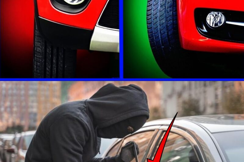 19 Tattiche infallibili per proteggere la tua auto dai ladri in un secondo