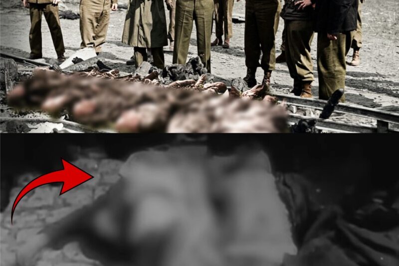 La vengeance après la libération : que sont devenus les gardes SS nazis lors de la chute du camp de Buchenwald ? 