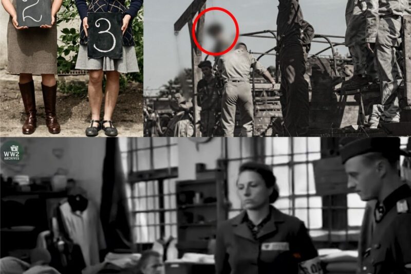 L’exécution publique infâme de gardiennes nazies à Auschwitz après la Seconde Guerre mondiale : des images difficiles à regarder