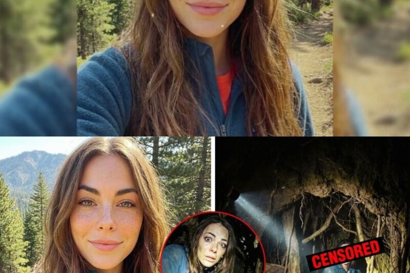 Ragazza scomparsa sul sentiero degli Appalachi – ritrovata due settimane dopo nella tana di un orso in uno stato confusionale!