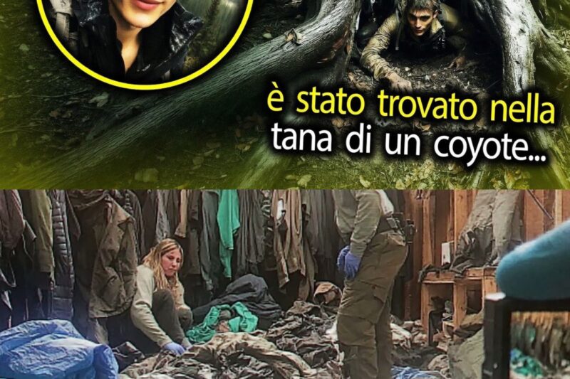 Che fine ha fatto l’escursionista trovato nella tana di un coyote?