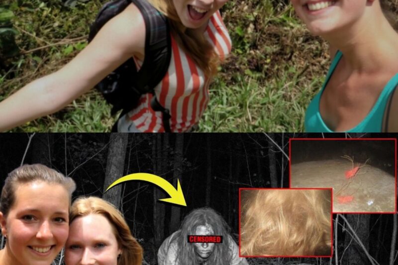 Due amici scomparsi nella giungla di Panama: 10 settimane dopo, ritrovata una telecamera con 90 scioccanti foto notturne.