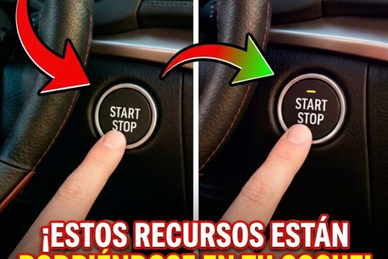 Queste risorse stanno marcendo nella tua auto e tu non sai come utilizzarle.