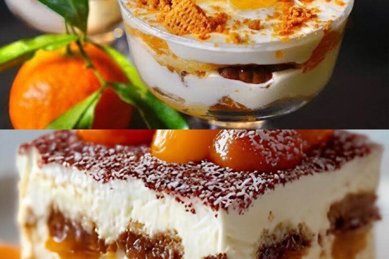 Stop aux desserts lourds à Noël ! Voici le Tiramisu aux clémentines, un dessert facile et bien frais