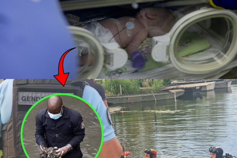 Un bébé retrouvé mort dans la Maine à Angers, le corps “peut correspondre” à celui d’un enfant recherché depuis la tentative de suicide de sa mère