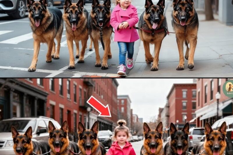 Une petite fille promène ses chiens tous les matins, jusqu’à ce que les gens découvrent qu’elle cache un secret choquant !