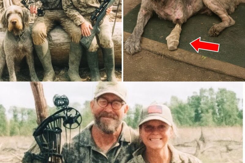 Un couple parti chasser a disparu — 2 ans plus tard, leur chien réapparaît…