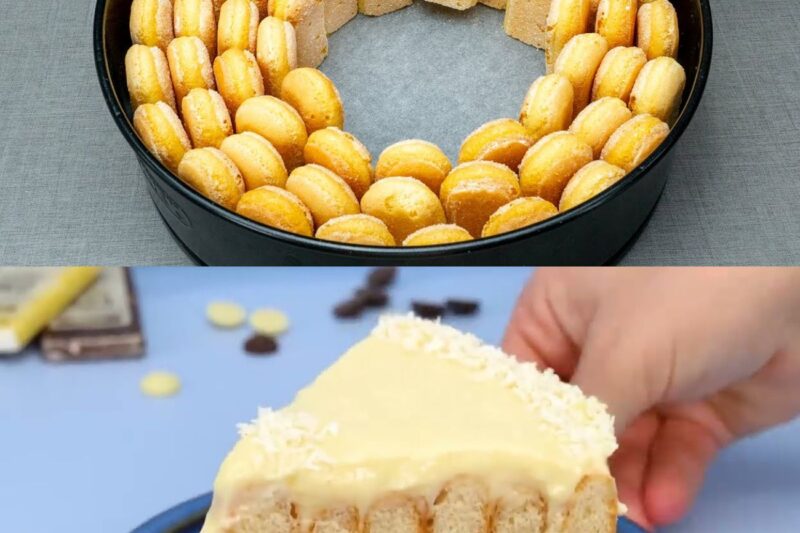 Addio ricette complicate! Il dessert fresco senza cottura al limone e cioccolato bianco che stupisce tutti ed è facilissimo da preparare
