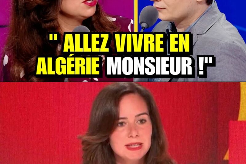 Clash en Direct : Sarah Knafo Pulvérise un Chroniqueur de Gauche et Démonte le Narratif du Clientélisme Politique