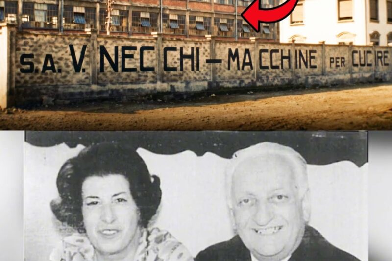 Da Impero N.1 delle Macchine da Cucire in Italia a Rovina: Fabbrica Necchi, Pavia