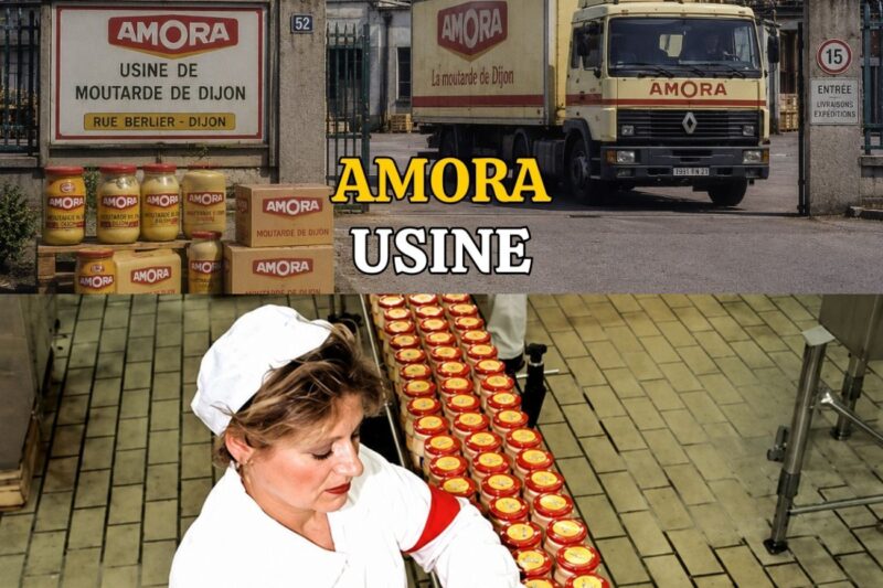 Dans l’Usine Amora : Comment la Moutarde Nationale des Français s’est Effondrée