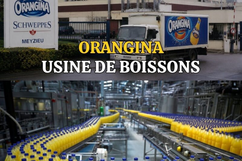 Dans l’usine Suntory France : comment l’empire Orangina s’est écroulé en une réunion