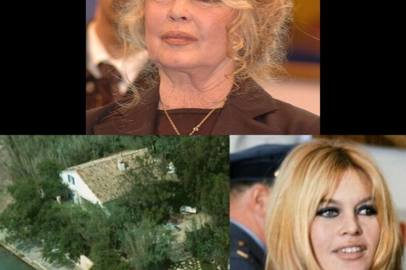 Brigitte Bardot propriétaire d’un bien dont elle ne peut se séparer, trois stars ont pourtant négoci