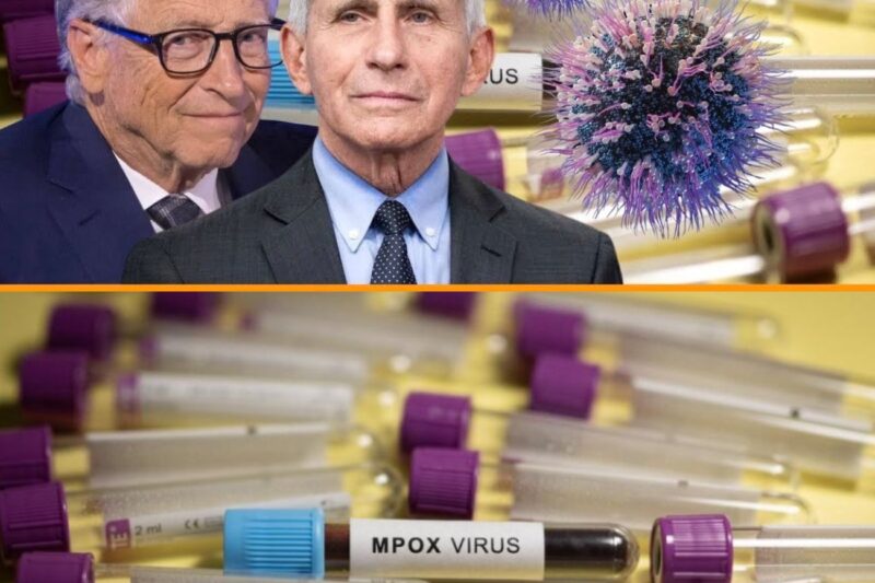 « 113 fioles de virus étaient cachées ! » : l’incroyable coup de filet !