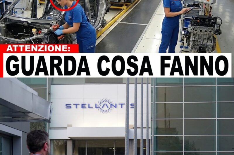 12 SEGRETI CHE SOLO I DIPENDENTI STELLANTIS CONOSCONO