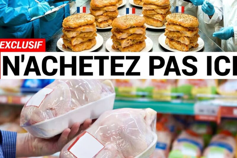 N’achetez Pas de Poulet Dans Ces 5 Supermarchés Français (voici pourquoi)