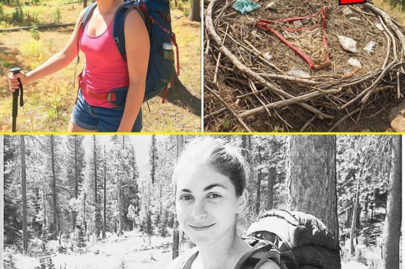 Un jeune randonneur disparu sur le Grand Teton, 11 mois plus tard, un garde forestier découvre ceci à l’intérieur d’un nid d’aigle…