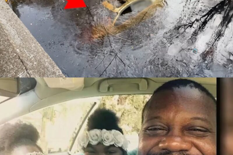 Un homme disparu depuis 7 ans : des images de drone changent tout.