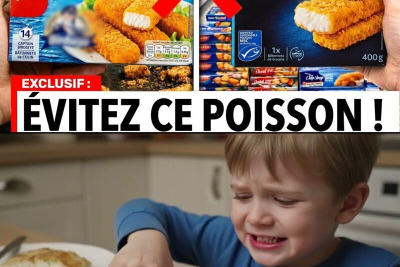 La Vérité Choquante sur les Bâtonnets de Poisson Panés en France