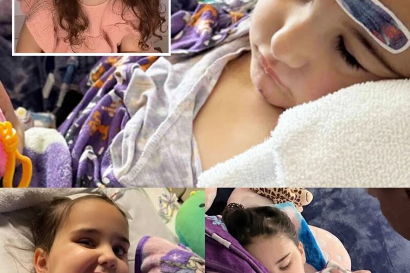 Comment un enfant de six ans a appris au monde à aimer avant de dire adieu.
